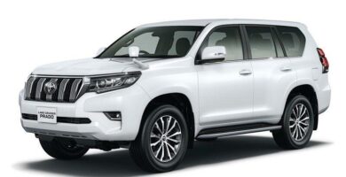 Descargar Manual Toyota Land Cruiser Prado 2017 de Usuario