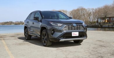 Descargar Manual Toyota RAV4 Hybrid 2021 de Usuario