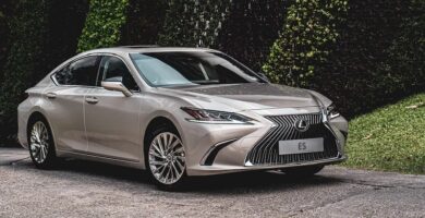 Descargar Manual Lexus ES 250 2020 de Usuario