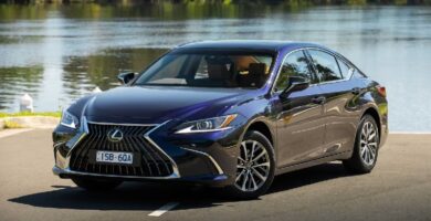 Descargar Manual Lexus ES 250 2022 de Usuario