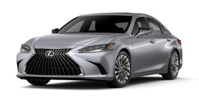 Descargar Manual Lexus ES 300h 2024 de Usuario