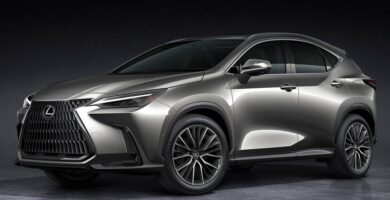 Descargar Manual Lexus NX 2022 de Usuario