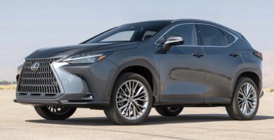 Descargar Manual Lexus NX 250 2023 de Usuario