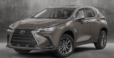 Descargar Manual Lexus NX 250 2024 de Usuario