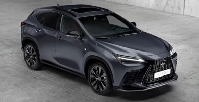 Descargar Manual Lexus NX 300h 2022 de Usuario