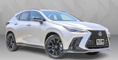 Descargar Manual Lexus NX 300h 2024 de Usuario