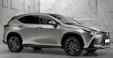 Descargar Manual Lexus NX 350h 2022 de Usuario