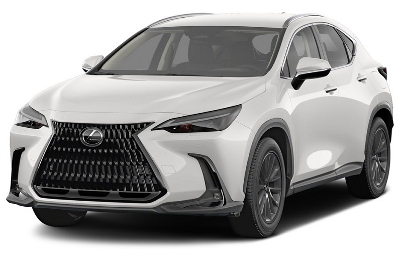 Manual Lexus NX 350h 2024 de Usuario