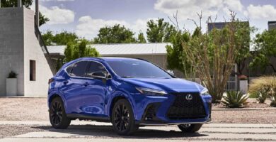 Descargar Manual Lexus NX 450h+ 2024 de Usuario