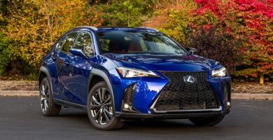 Descargar Manual Lexus UX 2021 de Usuario