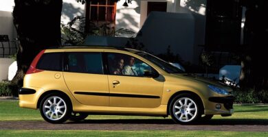 Descargar Manual Peugeot 206 SW Dag 2006 de Usuario