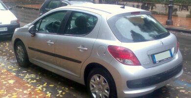 Descargar Manual Peugeot 207 CC Dag 2010 de Usuario