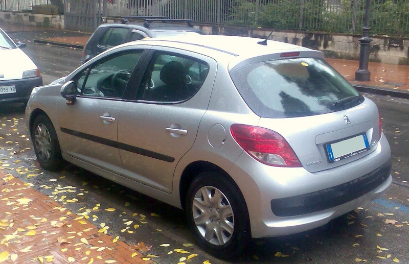 Descargar Manual Peugeot 207 CC Dag 2010 de Usuario