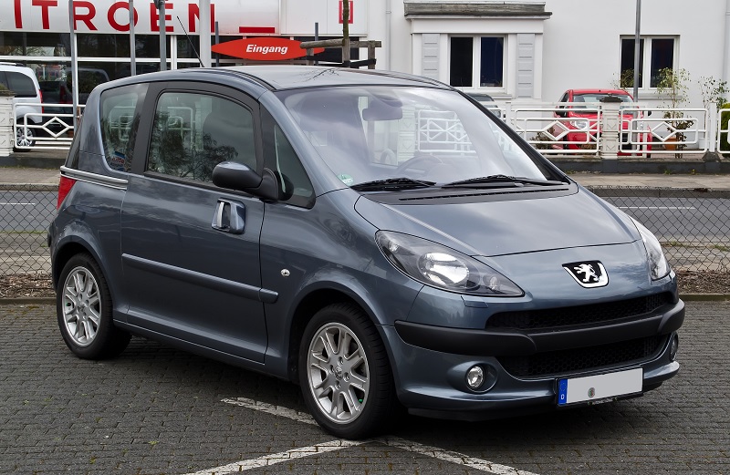 Manual Peugeot 1007 Dag 2006 de Usuario