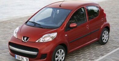 Descargar Manual Peugeot 107 Dag 2009 de Usuario