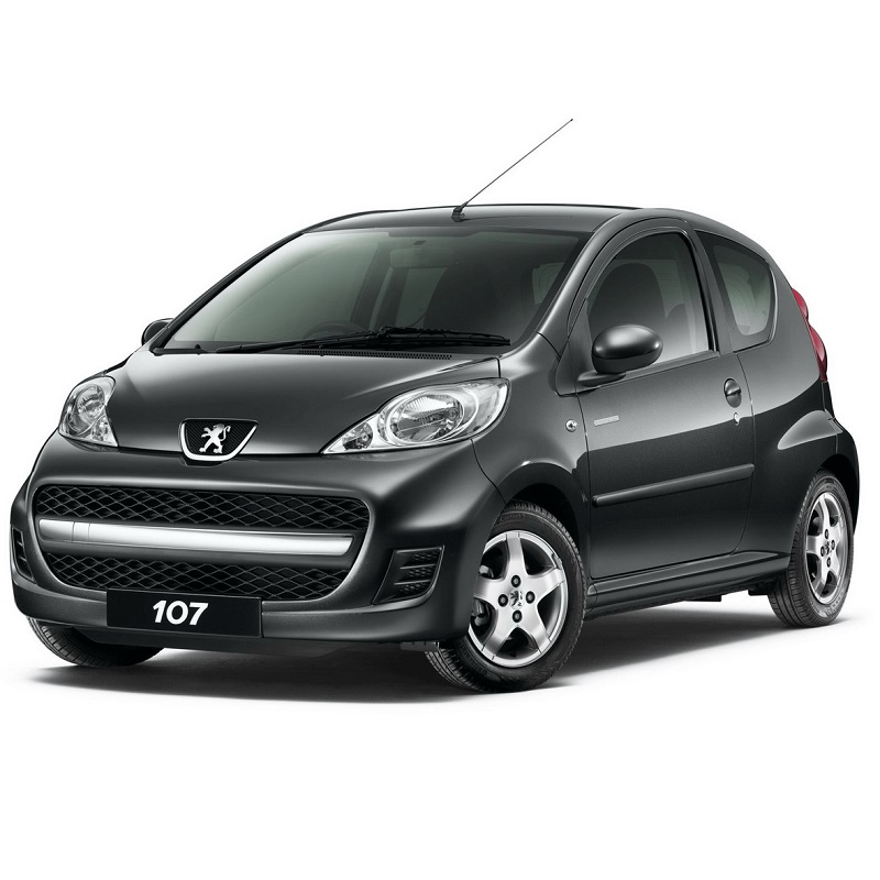 Manual Peugeot 107 Dag 2010 de Usuario