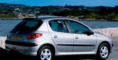 Descargar Manual Peugeot 206 Dag 2002 de Usuario