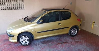 Descargar Manual Peugeot 206 Dag 2004 de Usuario