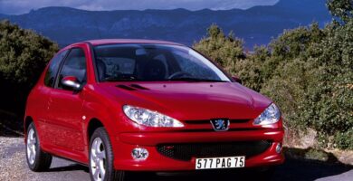 Descargar Manual Peugeot 206 Dag 2006 de Usuario