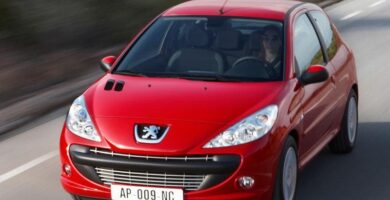 Descargar Manual Peugeot 206 P 2009 de Usuario