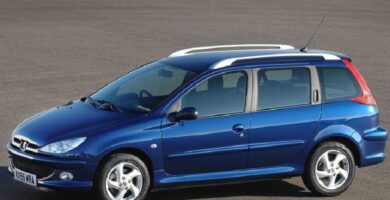 Descargar Manual Peugeot 206 SW Dag 2002 de Usuario