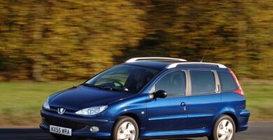 Descargar Manual Peugeot 206 SW Dag 2003 de Usuario