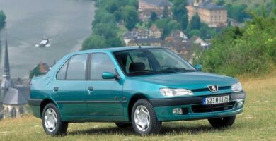 Descargar Manual Peugeot 306 Dag 2002 de Usuario