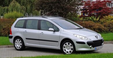 Descargar Manual Peugeot 307 Break Dag 2005 de Usuario