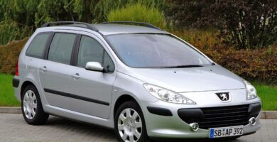 Descargar Manual Peugeot 307 Break Dag 2007 de Usuario