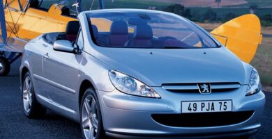 Descargar Manual Peugeot 307 CC 2003 de Usuario