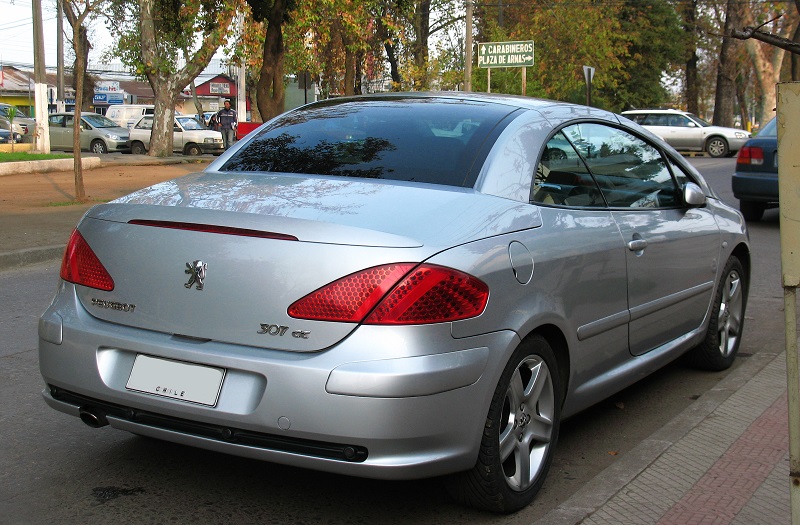 Descargar Manual Peugeot 307 CC 2006 de Usuario