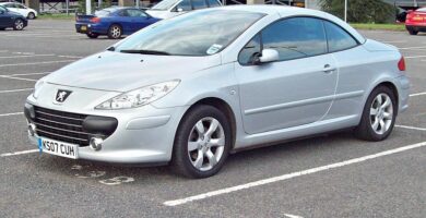 Descargar Manual Peugeot 307 CC Dag 2007 de Usuario