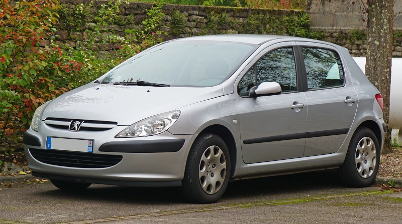 Manual Peugeot 307 Dag 2004 de Usuario