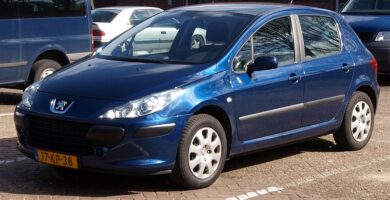 Descargar Manual Peugeot 307 Dag 2005 de Usuario