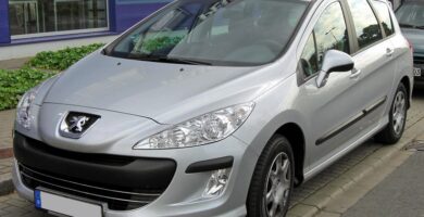 Descargar Manual Peugeot 308 SW BL 2009 de Usuario