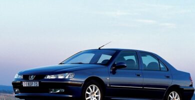 Descargar Manual Peugeot 406 C 2002 de Usuario