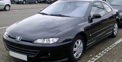 Descargar Manual Peugeot 406 C Dag 2004 de Usuario