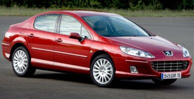 Descargar Manual Peugeot 407 C 2008 de Usuario