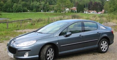 Descargar Manual Peugeot 407 C 2010 de Usuario