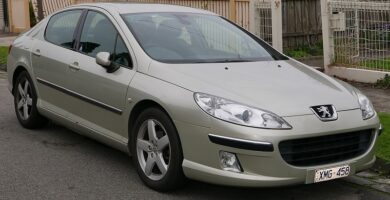 Descargar Manual Peugeot 407 C Dag 2005 de Usuario