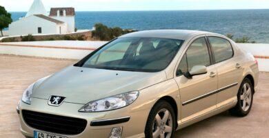 Descargar Manual Peugeot 407 C Dag 2007 de Usuario