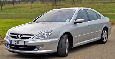 Descargar Manual Peugeot 607 Dag 2002 de Usuario