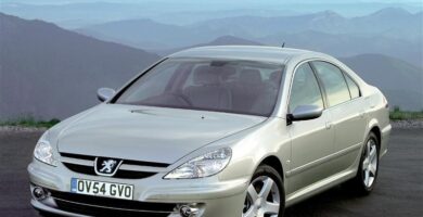 Descargar Manual Peugeot 607 Dag 2009 de Usuario