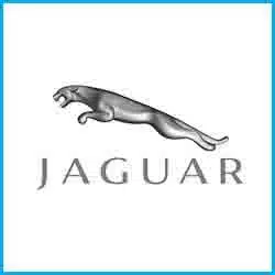 Descargar Catalogo de Partes Jaguar