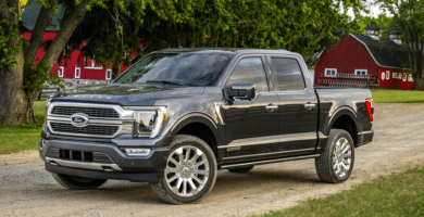 Descargar Manual Ford F-150 2021 de Usuario