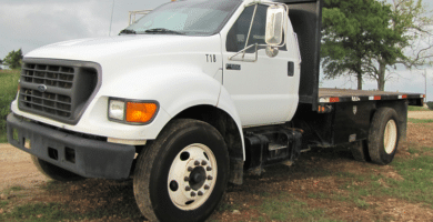 Descargar Manual Ford F-650 2001 de Usuario