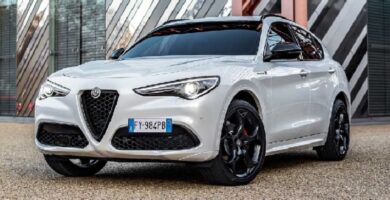 Descargar Manual Alfa Romeo Stelvio 2021 de Usuario