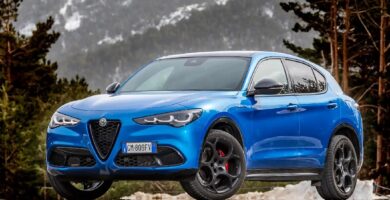 Descargar Manual Alfa Romeo Stelvio 2023 de Usuario