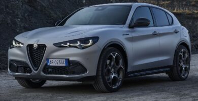 Descargar Manual Alfa Romeo Stelvio MCA 2022 de Usuario