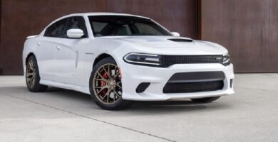 Descargar Manual Dodge Charger SRT 2015 de Usuario